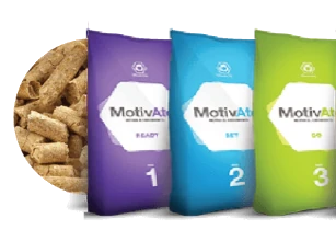Motivate Fase 2 (8-10 kg)